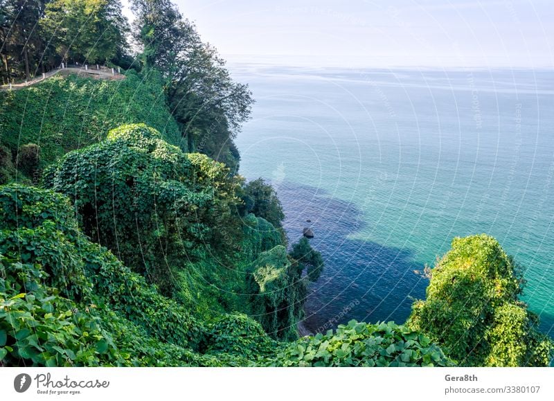 Erholung Ferien & Urlaub & Reisen Tourismus Ausflug Sommer Meer Wellen Berge u. Gebirge Natur Landschaft Pflanze Himmel Wolken Horizont Herbst Klima Wärme Baum