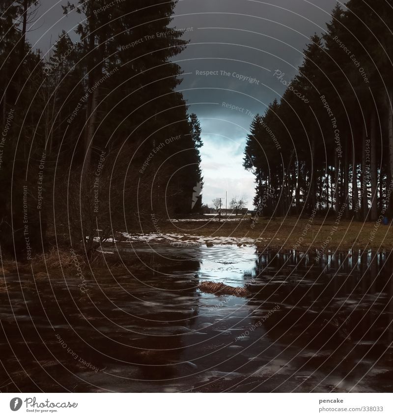 kommt von irgendwo ein licht Natur Landschaft Urelemente Erde Wasser Himmel Wolken Frühling Unwetter Gewitter Eis Frost Wald Zeichen Tapferkeit Optimismus