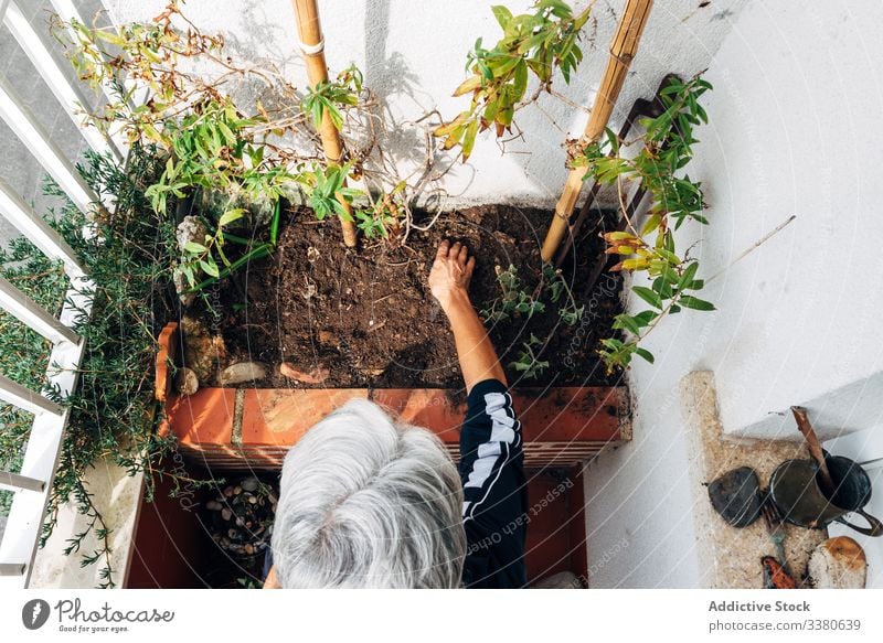 Alte Frau beim Gärtnern auf dem Balkon Gartenarbeit Pflege Senior Hobby heimwärts Pflanze kultivieren professionell Beruf Wachstum Flora Blume Vergnügen alt