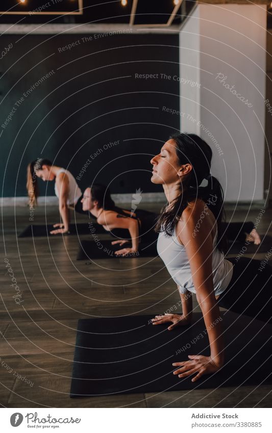 Frauen, die Yoga in nach oben gerichteter Hundehaltung praktizieren sportlich positionieren üben Dehnung Klasse Training beweglich Übung Pose Körper