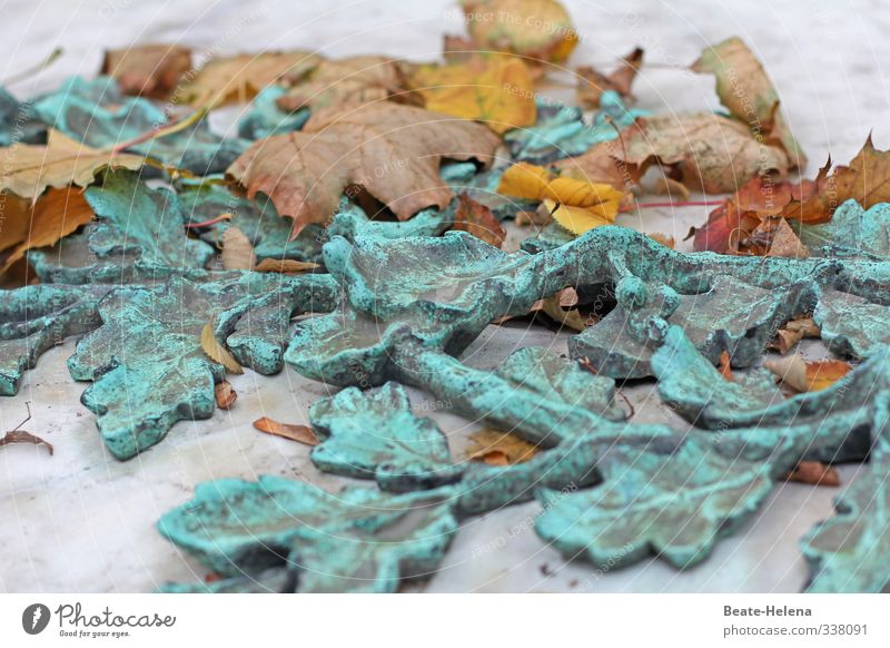 wo jedes Blatt zur Blüte wird Umwelt Natur Herbst Wetter Wind Baum Park Zeichen alt Tanzen verblüht dehydrieren ästhetisch natürlich braun gelb grün Stimmung