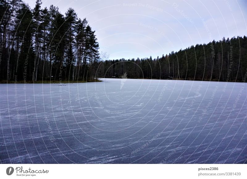 Gefrorener Haukkalampi-See an bewölktem Tag im Nuuksio Nationalpark gefroren Natur Himmel nuuksio blau Sonnenaufgang Finnland Wasser kalt Winter Eis weiß Wald