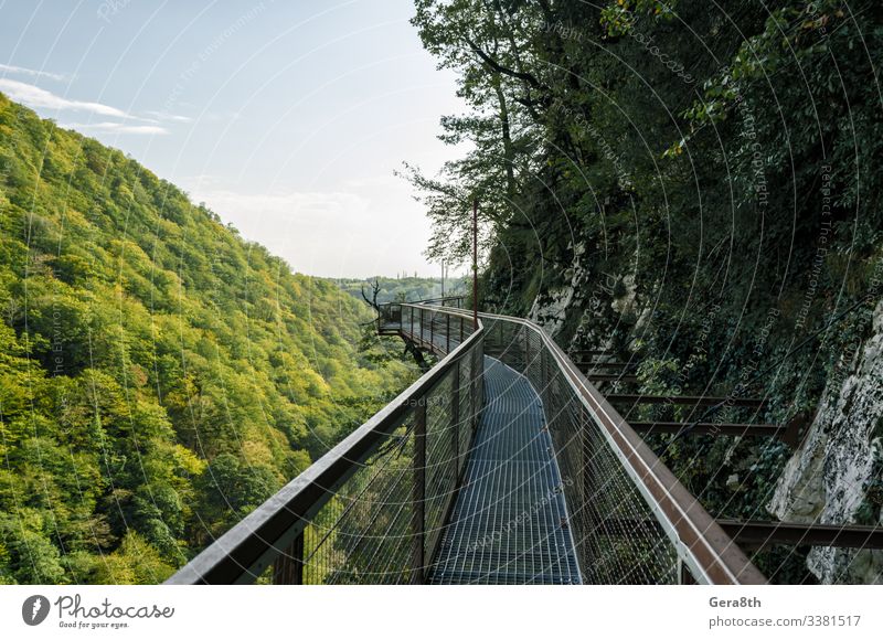 Ferien & Urlaub & Reisen Tourismus Ausflug Berge u. Gebirge Natur Landschaft Pflanze Himmel Wolken Horizont Herbst Klima Wärme Baum Blatt Park Wald Hügel Felsen