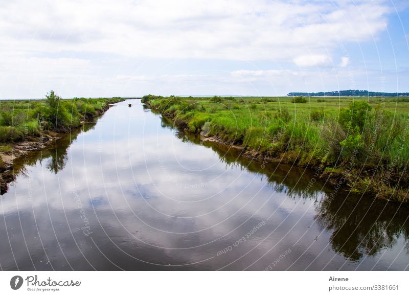 fast stehendes Fließgewässer naturschutzgebiet Fluss Flußbett Tag Natur Landschaft Tageslicht Zentralperspektive Himmel Wolken Spiegelung Wasseroberfläche Ebbe