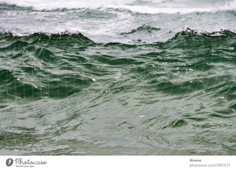 zuviel Regen bringt nur Ärger Wellen Meer Kraft tosen bedrohlich schäumen gefährlich wild Sturm schlechtes Wetter dunkel Rauschen Wasser tosend Gischt Gewalt