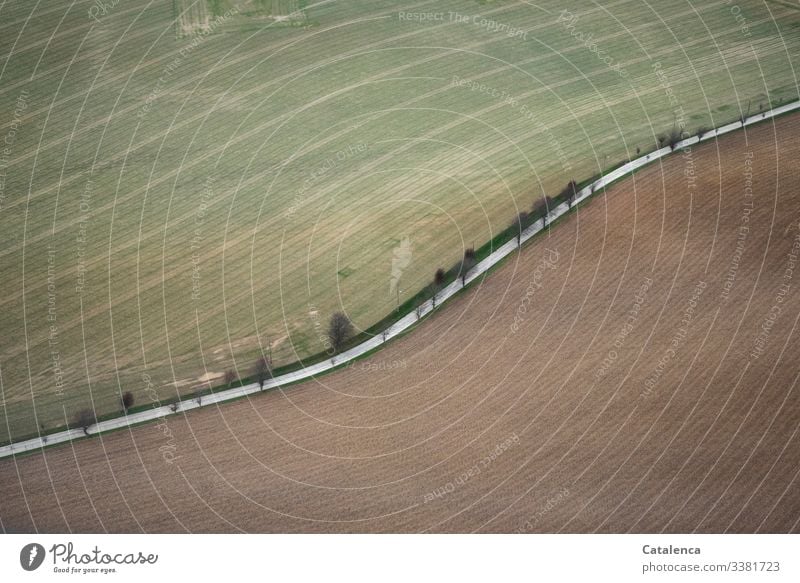 Farbkombination | Agrarlandschaft aus der Vogelperspektive Natur Landschaft Wiese Feld Acker Landwirtschaft Straße Landstraße ,Bäume ,Aleé ,Winter Braun Grün