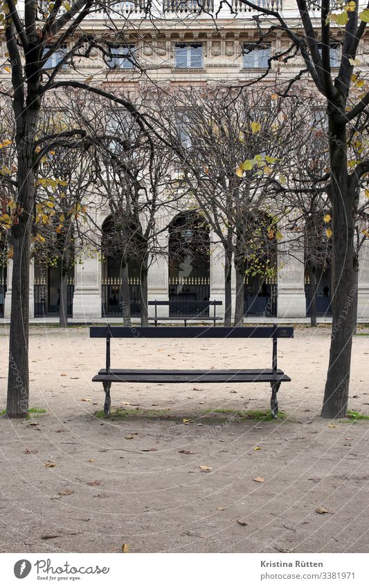 parkbank Baum Garten Park Hauptstadt Gebäude sitzen ruhig Parkbank Bank Holzbank jardin du palais royal Palais Royal Arkaden Loggia Architektur historisch Paris