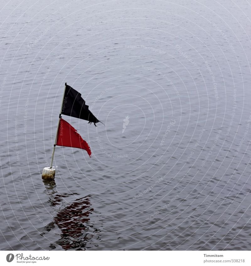 Künftige Erinnerungen. Ferien & Urlaub & Reisen Umwelt Natur Wasser Fjord Dänemark Schifffahrt Zeichen Fahne Blick Schwimmen & Baden ästhetisch einfach blau rot