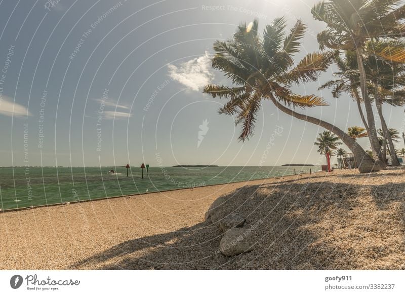 Florida Keys Schönes Wetter Himmel Sonnenlicht Ferien & Urlaub & Reisen Fernweh Außenaufnahme Farbfoto Ozean Küste Freiheit Ferne genießen Tourismus Meer