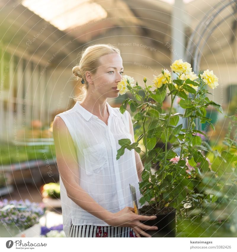 Floristinnen, die im Gewächshaus mit Blumen arbeiten. kaufen grün Rosen Werkstatt Business Garten Glück Gärtner Gartenbau Laden Pflanze schön Einzelhändlerin