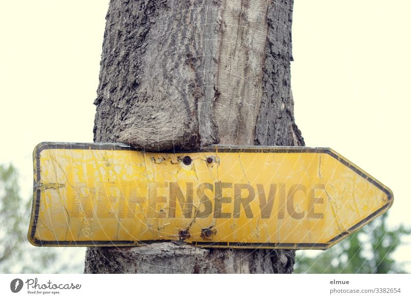 Schild "Reifenservice" vergilbt baum eingewachsen Spass gelb unleserlich Außenaufnahme alt Vergänglichkeit Nostalgie Hinweis Hinweisschild Richtung