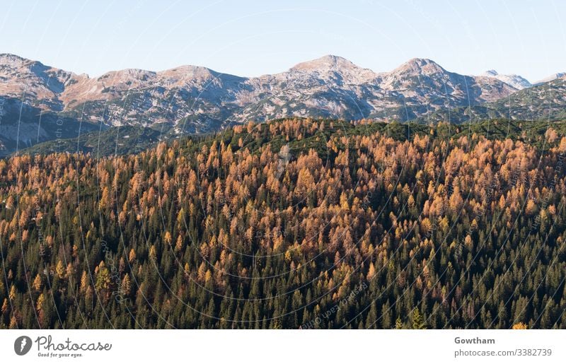 Herbst im Tal der sieben Seen in den Julischen Alpen alpin Hintergrund Schönheit blau bohinj zentral übersichtlich Ökologie Europa Wald gorenjska Gras grün HDR