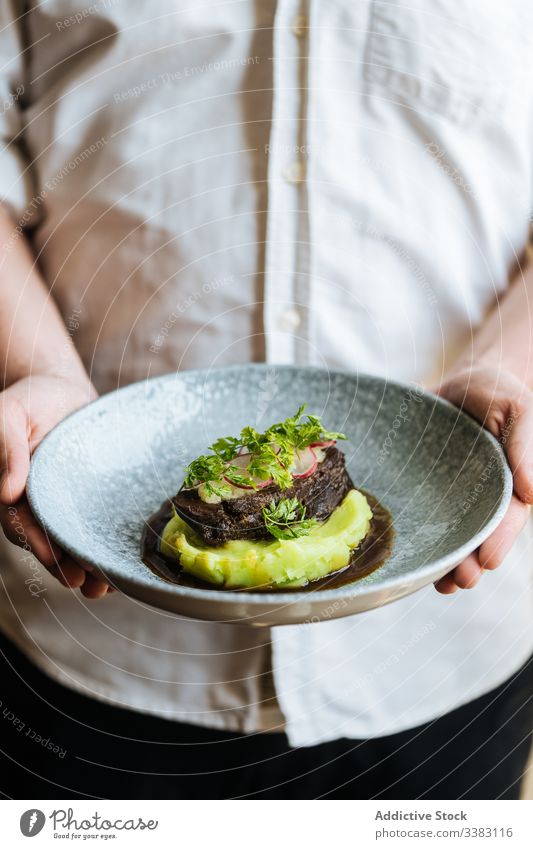 Kochhalteplatte mit Gemüsepüree und Kotelett Püree Küchenkräuter grün lecker Speise geschmackvoll Lebensmittel frisch Feinschmecker Gesundheit Abendessen