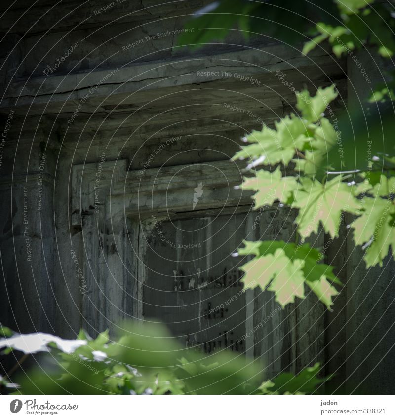 ruhestätte. Kunstwerk Architektur Pflanze Baum Blatt Park Mauer Wand Stein Beton Schriftzeichen Schilder & Markierungen Zahn der Zeit alt kaputt ruhig Trauer