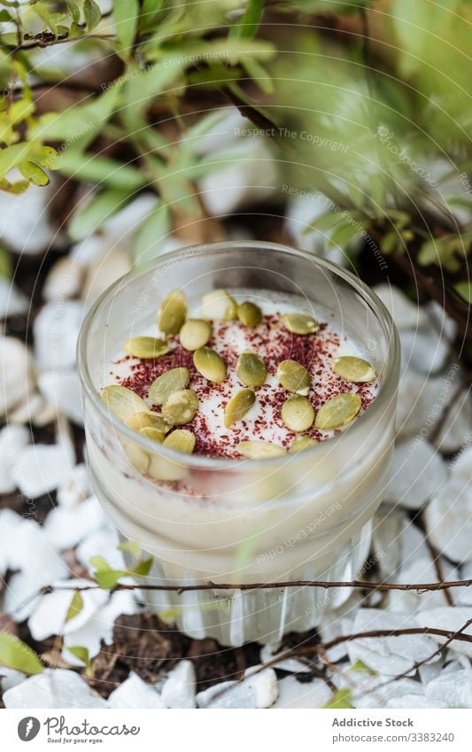 Köstliches Dessert mit Samen in der Tasse cremig süß Zimt Glas lecker frisch Speiseeis Feinschmecker Zucker Bestandteil festlich Konditorei Kalorie melken