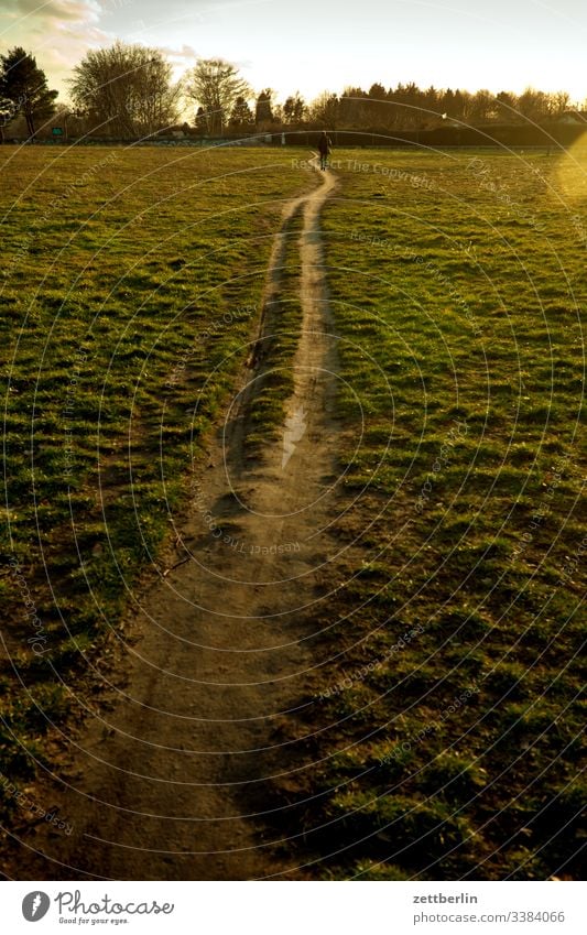 Pfad über die Wiese natur pfad pflanze ruhe textfreiraum tiefenschärfe wandern weg wanderweg wiese rasen gras Sonnenuntergang gegenlicht feierabend heimweg