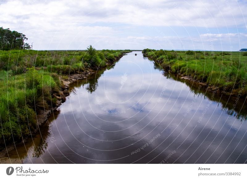 es fährt ein Boot nach nirgendwo Horizont Wasser Weitblick Fluss Feuchtgebiete flach Wiese Salzwiese Erholung Landschaft Flußbett Ruhe Einsamkeit Priel Stille