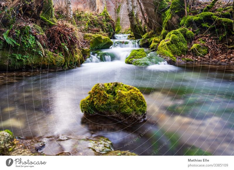 Wasserlauf mit Stein Brücke Wasserfall bach langzeitbelichtung Langzeitbelichtung Außenaufnahme Fluss Natur Farbfoto fließen grün Umwelt nass Felsen Tag Bach