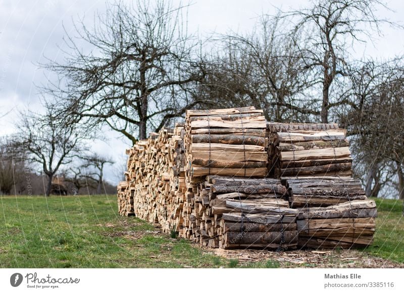 Holzstapel Brennholz Farbfoto Menschenleer Stapel Tag Natur braun Strukturen & Formen Nahaufnahme Baum Baumstamm Forstwirtschaft Detailaufnahme Gedeckte Farben