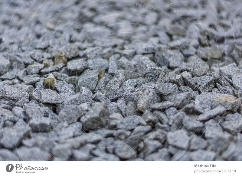 Grauer Schotter steine Farbfoto Außenaufnahme Menschenleer Felsen Kieselsteine Stein klein blanko Hintergrund Baustoff Konsistenz Strand Schwarzweißfoto