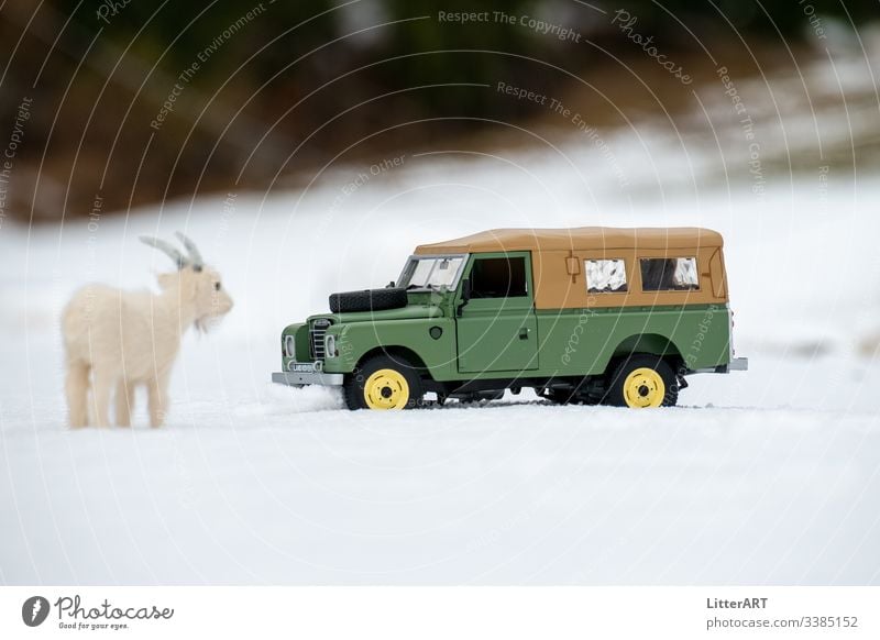 LAND ROVER SERIES IM NEUSCHNEE VON ZIEGE BESTAUNT ziege bergziege neuschnee winter winterlandschaft land rover land rover series oldtimer defender keswick green