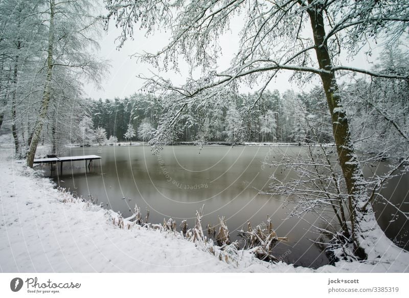 Winterliche Natur mit See  nicht von diesem Jahr Winterurlaub Schnee Frost Seeufer authentisch kalt Romantik Idylle Reflexion & Spiegelung Silhouette Landschaft