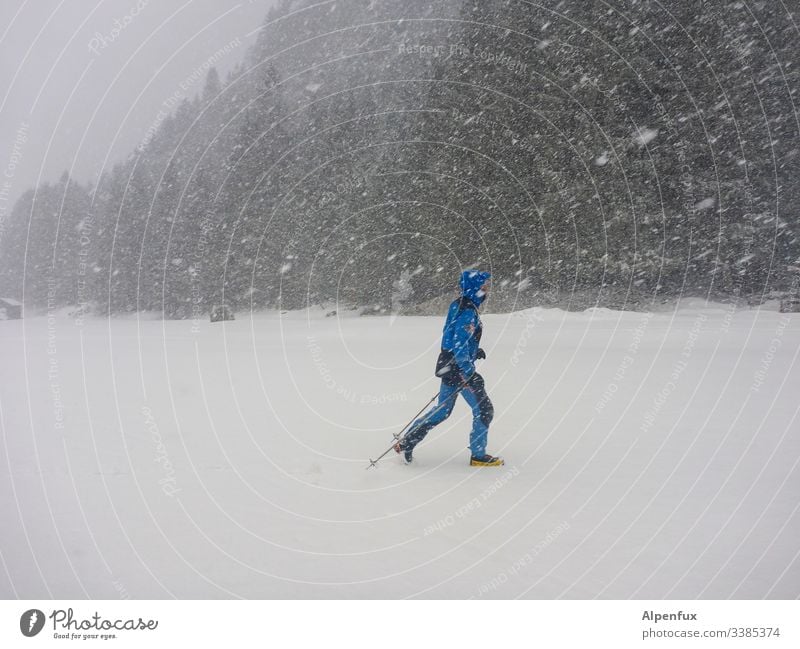 Mann, total blau! männlich Erwachsener Schnee Schneesturm Winter kalt Schneefall Unwetter Schneeflocke Wetter Farbfoto Umwelt Außenaufnahme Natur