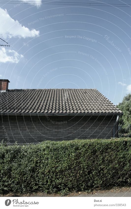 in der Laubenpieperei Himmel Wolken Garten Haus Gebäude Mauer Wand Dach Schornstein grün Ordnungsliebe Gartenhaus Kleingartenkolonie Dachziegel Hecke