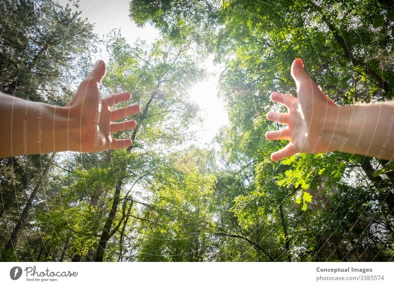 Persönliche Perspektive eines Mannes mit ausgestreckten Armen in einem Wald aktiv Erwachsener Abenteuer Waffen Atem Atmung sorgenfrei Kaukasier Konzept Tag