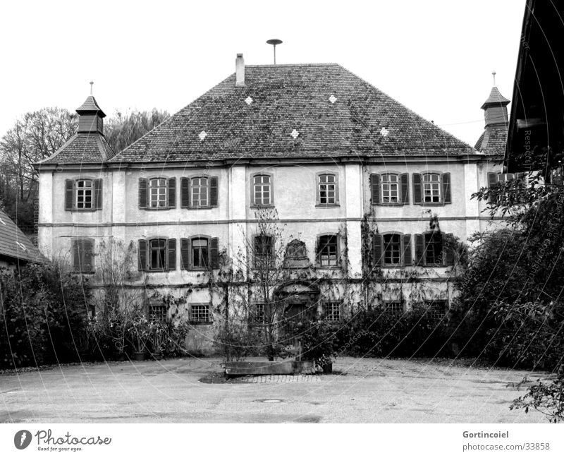 Das Schloss Reichtum elegant Stil Häusliches Leben Haus Garten Feste & Feiern Pflanze Baum Sträucher Efeu Dorf Burg oder Schloss Bauwerk Gebäude Architektur