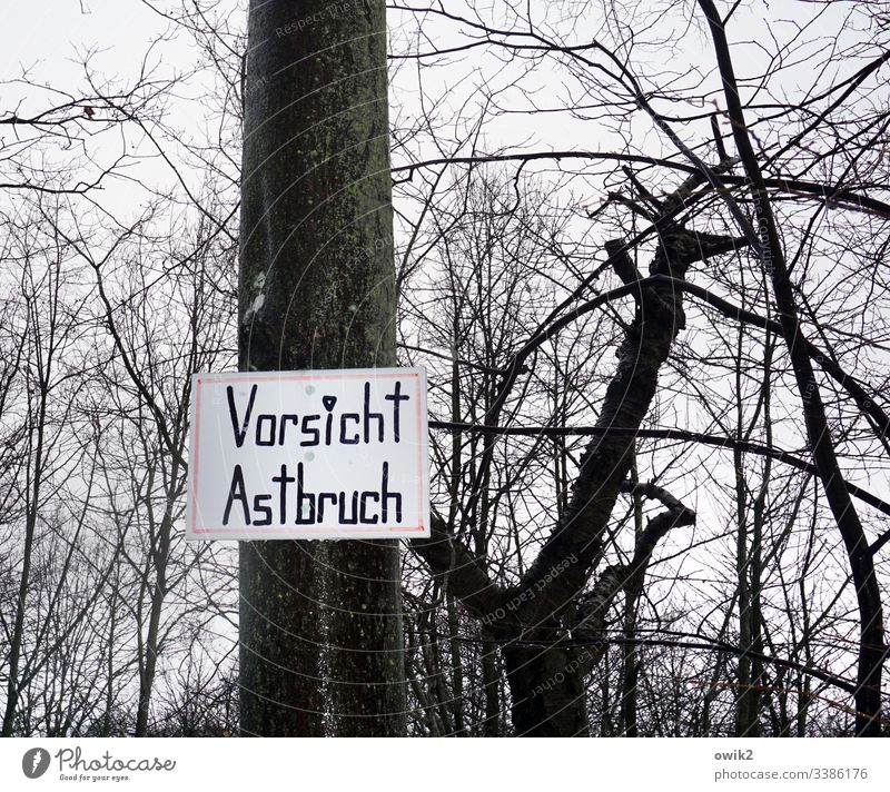 Schilderwald Warnung Schriftzeichen Buchstaben Achtung Vorsicht Baumstamm Wald Astbruch Äste Zweige morsch marode aufpassen Natur Zweige u. Äste Menschenleer