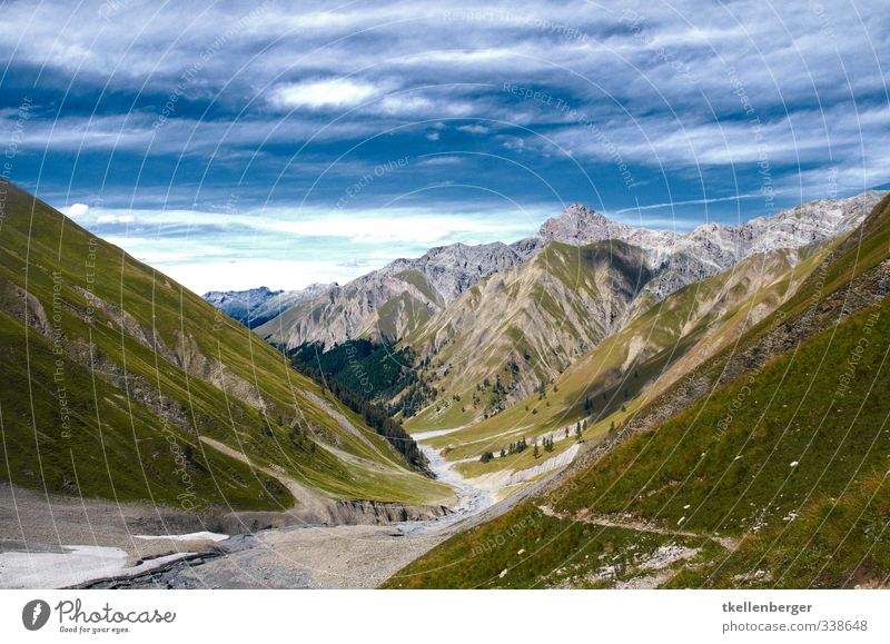 Val Trupchun Sommer Grünpflanze Wildpflanze Alpen Berge u. Gebirge schweizer alpen Nationalpark Schweizer Nationalpark Gipfel blau wandern