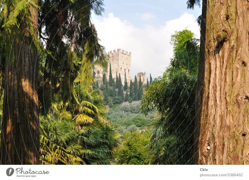 Burg Arco nahe des Gardasees Burgruine Arco Trentino Norditalien Bäume Park Zypressen Italien Landschaft Berge u. Gebirge Wolken Kurort Himmel Außenaufnahme