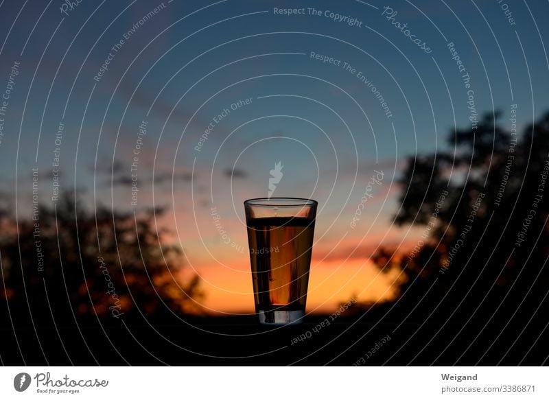 Bier Party Nachtleben Ruhe Feierabend Drink Glas Sonnenuntergang genießen Balkon