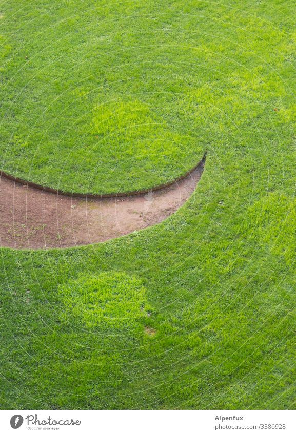 lächelndes Gras grün Wiese Rasen Natur Garten Außenaufnahme Farbfoto Menschenleer Tag lachen Lächeln Umwelt Sommer Park Landschaft