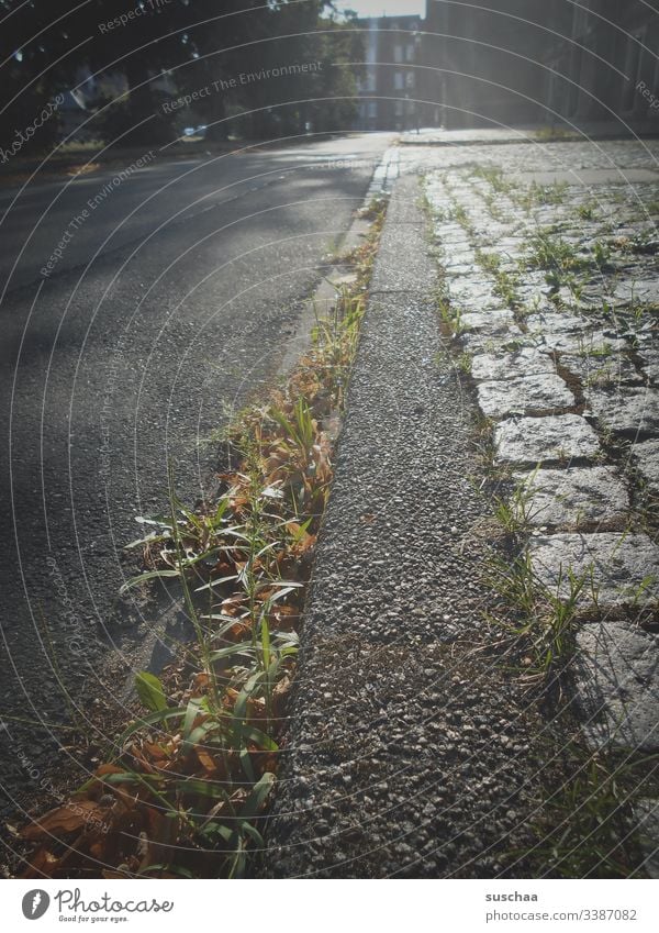 gras an einem bordstein und sonnenlicht Bordstein Gehweg Straße Kopfsteinpflaster Tag Außenaufnahme Menschenleer Bürgersteig Verkehrswege Pflastersteine Stadt