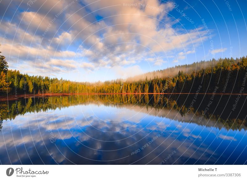 Erstaunliche Reflexion auf dem See am frühen Wintermorgen Hintergrund schön Schönheit blau British Columbia Wolken kalt farbenfroh Umwelt Februar Wald