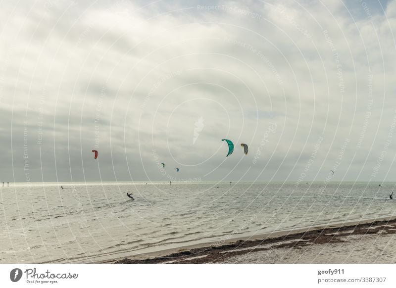 Einfach ziehen lassen Wind Surfen Surfer Meer Ozean Wasser Außenaufnahme Farbfoto Wellen Sport Strand Wassersport Küste Freizeit & Hobby Freude Sand