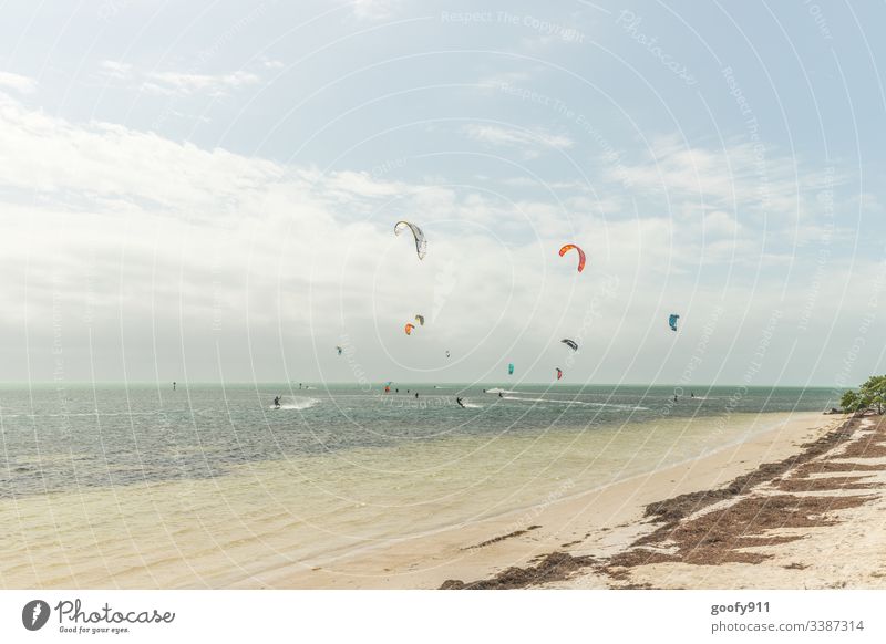 Vom Winde verweht Surfen Meer Wellen Strand Surfer Wassersport Sport Sand Außenaufnahme Abenteuer Freude Brandung Lifestyle Freizeit & Hobby Küste Farbfoto