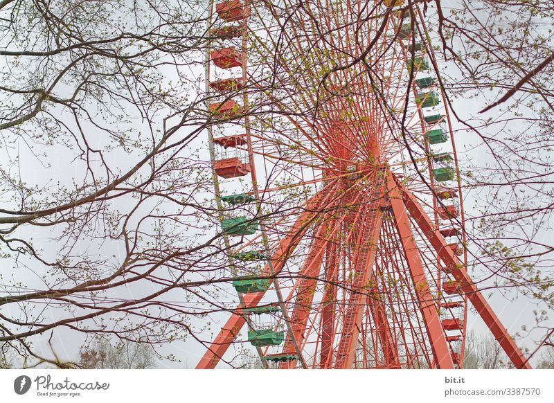 Buntes, altes, leeres Riesenrad dreht sich zwischen Ästen, Zweigen und Bäumen im geschlossenen Vergnügungspark im Plänterwald, Spreepark, Treptow, Berlin.