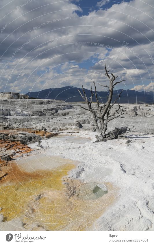 yellowstone nationalpark die natur Wyoming Wunder Feiertag Szene heiß Ausflugsziel Ruhm Landschaft treu Berge u. Gebirge amerika Ansicht reisen Wasser Natur