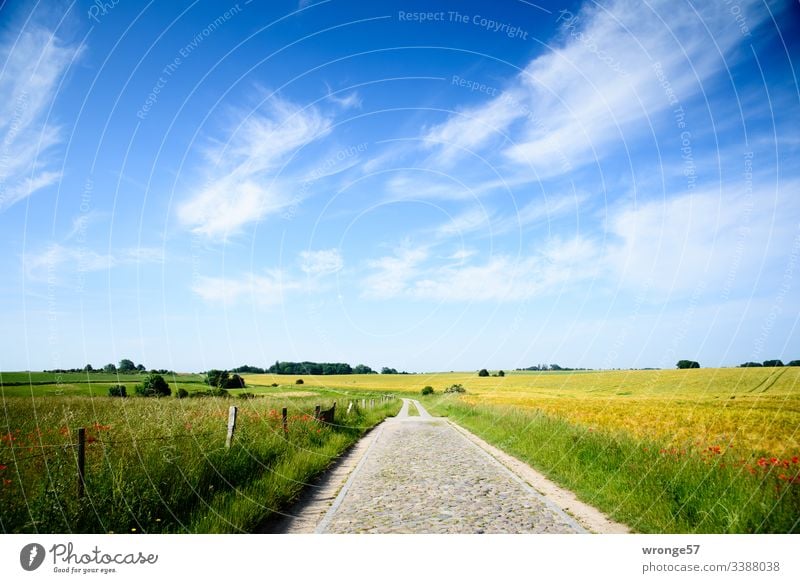 Weg an der Vitter Kapelle (Insel Rügen) Wege & Pfade Feldweg" Natur Landschaft Himmel Außenaufnahme Farbfoto Wolken Menschenleer Tag Schönes Wetter