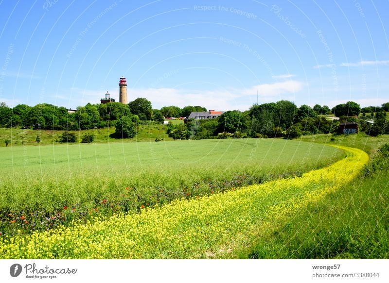 2 Leuchttürme am Kap Arkona (Insel Rügen) Leuchtturm Küste Landschaft Himmel Natur Außenaufnahme Farbfoto Menschenleer Tag Schönes Wetter Sommer