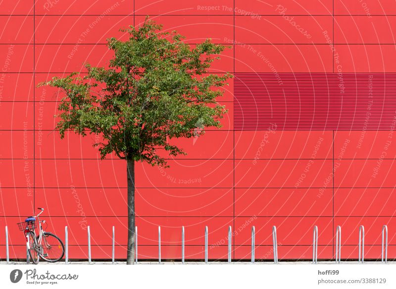 rote Aussenfassade mit grünem Baum und Fahrrad rote fassade fahrad Reinheit eckig Experiment einzigartig Sauberkeit steril Linie Muster Stil Wand urbane Formen