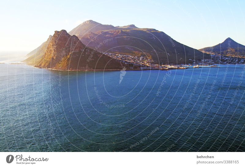 herausragend Gegenlicht Sonnenaufgang Sonnenlicht Licht Menschenleer Außenaufnahme Farbfoto chapmans peak drive Fernweh Sehnsucht schön fantastisch