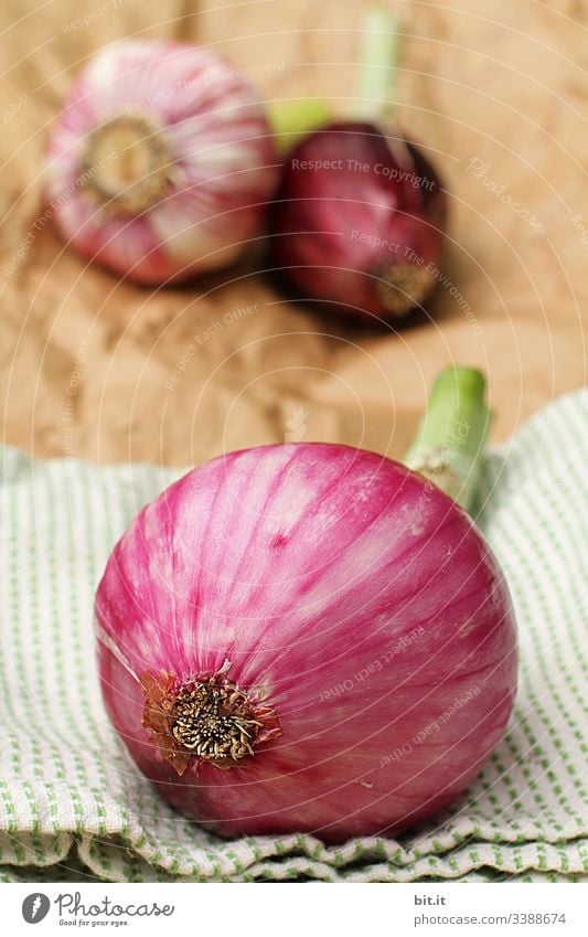 Zwiebeln und Knoblauch liegen als Dekoration und Zutat, auf Stoff und Papier in der Küche. Gesundheit Gesunde Ernährung gesund Lebensmittel Gemüse