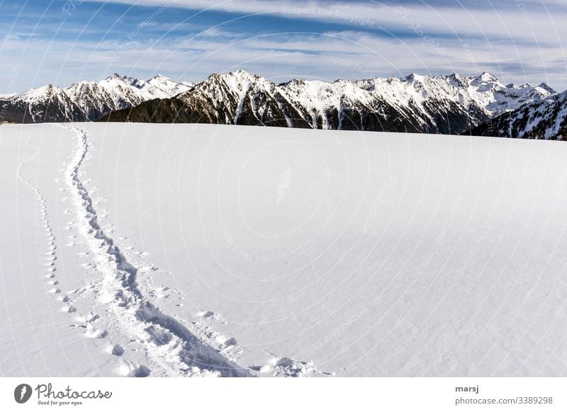 Schneespuren in einem jungfräulich reinen und unberührten Schneefeld in den Bergen Wintertag Kontrast einzigartig Schneelandschaft Wintersport Blauer Himmel