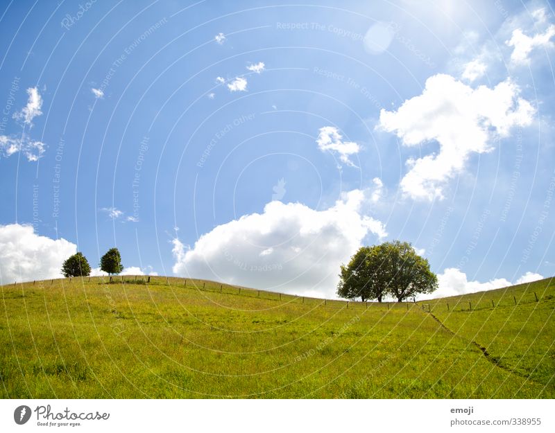 Sinuskurve Umwelt Natur Landschaft Pflanze Himmel Sonnenlicht Frühling Sommer Schönes Wetter Baum Sträucher Wiese Feld natürlich blau grün Farbfoto