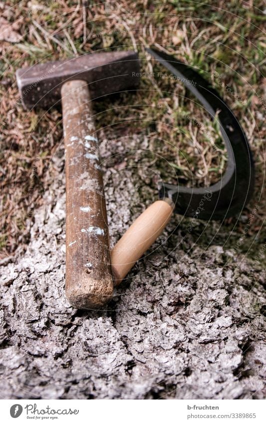 Sichel und Hammer am Baumstamm abgelegt baum wiese natur liegen vergessen gebraucht verwenden verwendung Politik & Staat Werkzeug Symbole & Metaphern