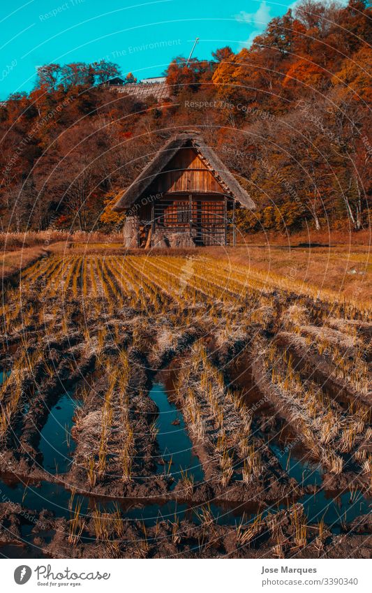 ländliches Landhaus Haus Außenaufnahme Farbfoto Tag Landschaft Shirakawago Architektur Tourismus Ferien & Urlaub & Reisen rustikal Tapete Berge u. Gebirge